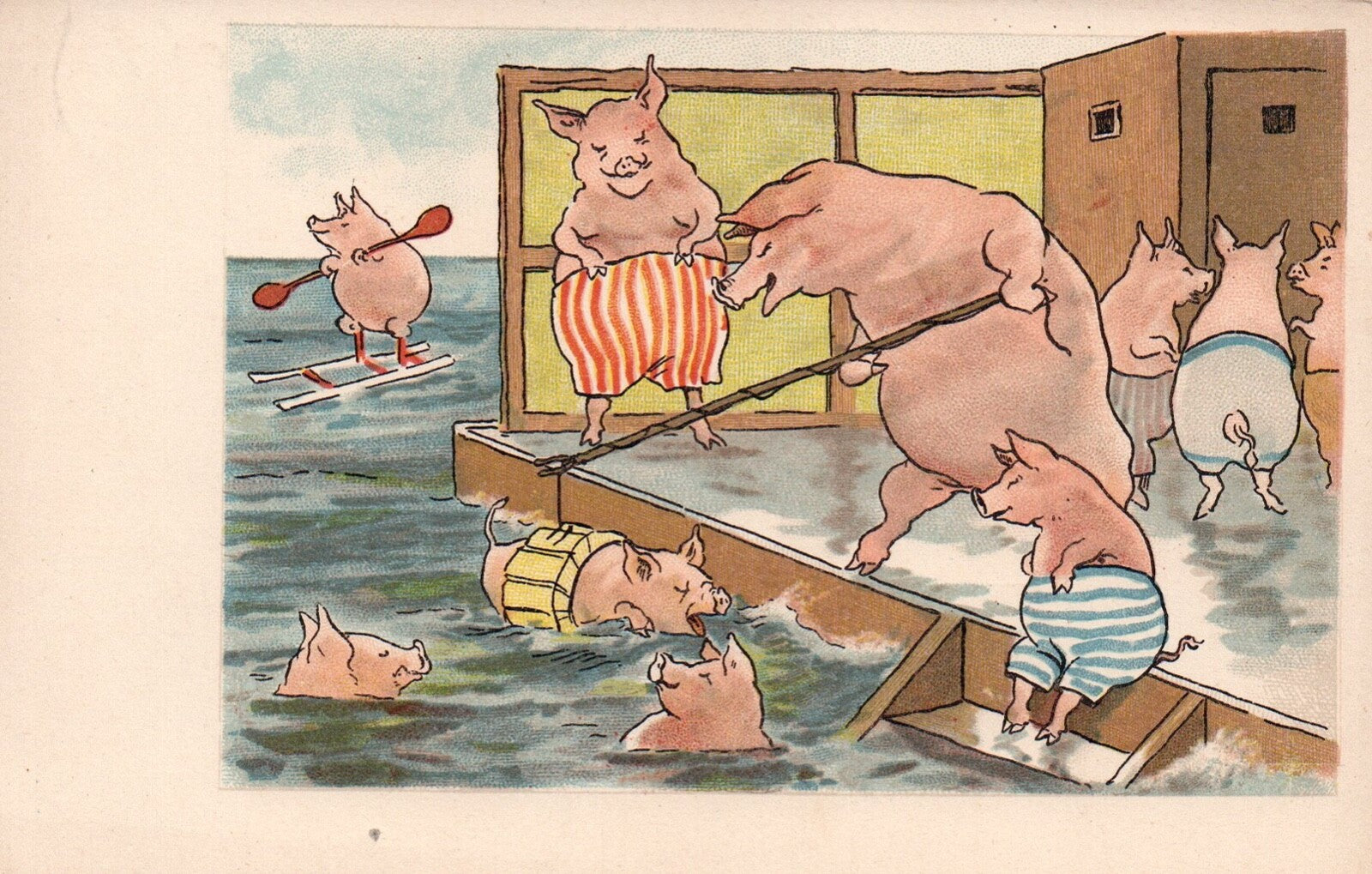 Adorable Cartoon Pigs Playing in Water Pigs in Swimsuits Vintage Pig Postcard