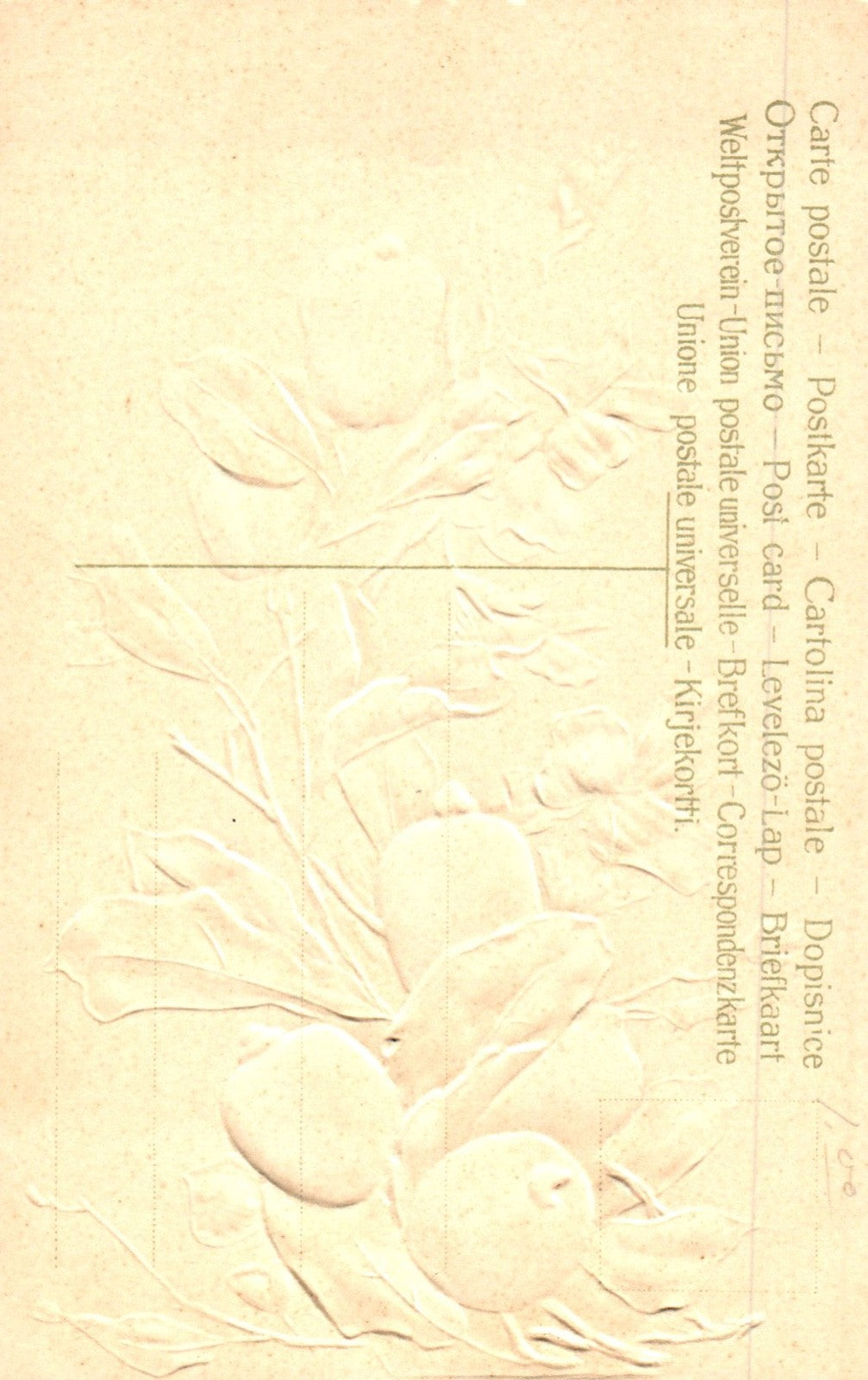 Artist  Catherine Klein Flowers and Fruit