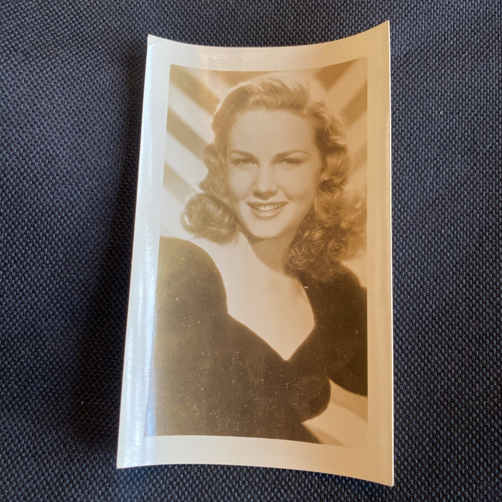 Real Photo  Barbara Britton 2.5" x 4" Hollywood Movie Star Fan Club