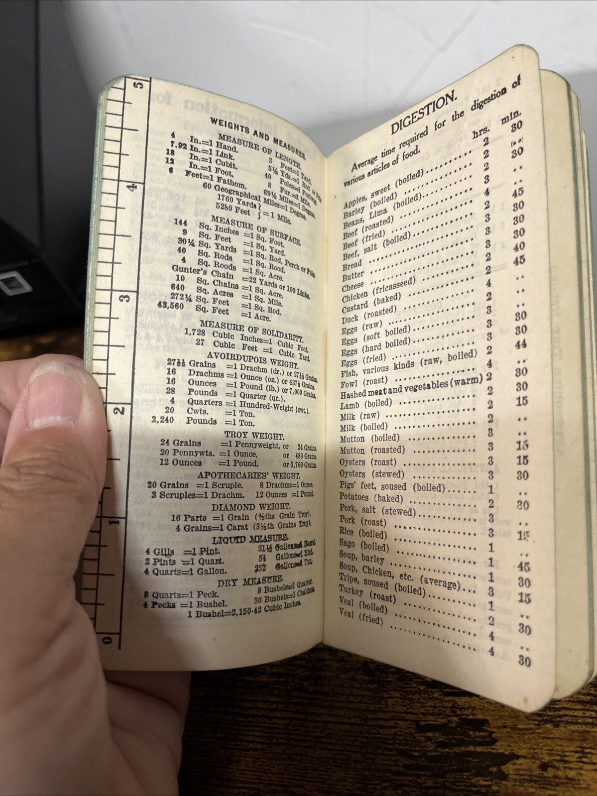 1920 Peacock Booklet Tablet