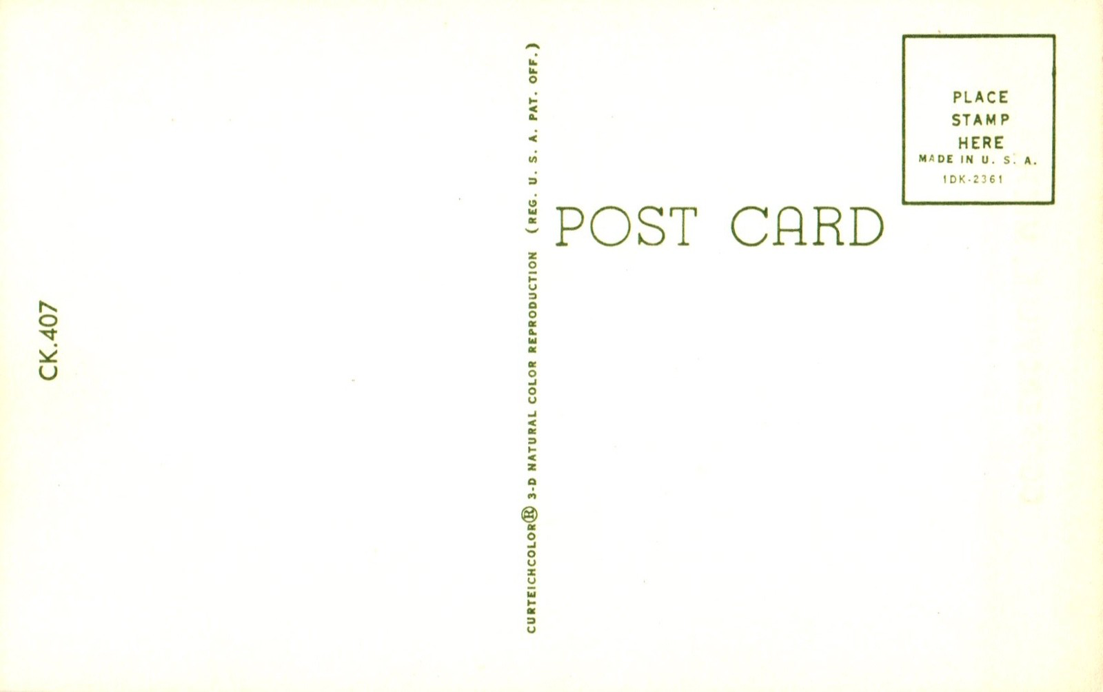 Robin in Tree Spring in Coopersville MI Michigan Postcard