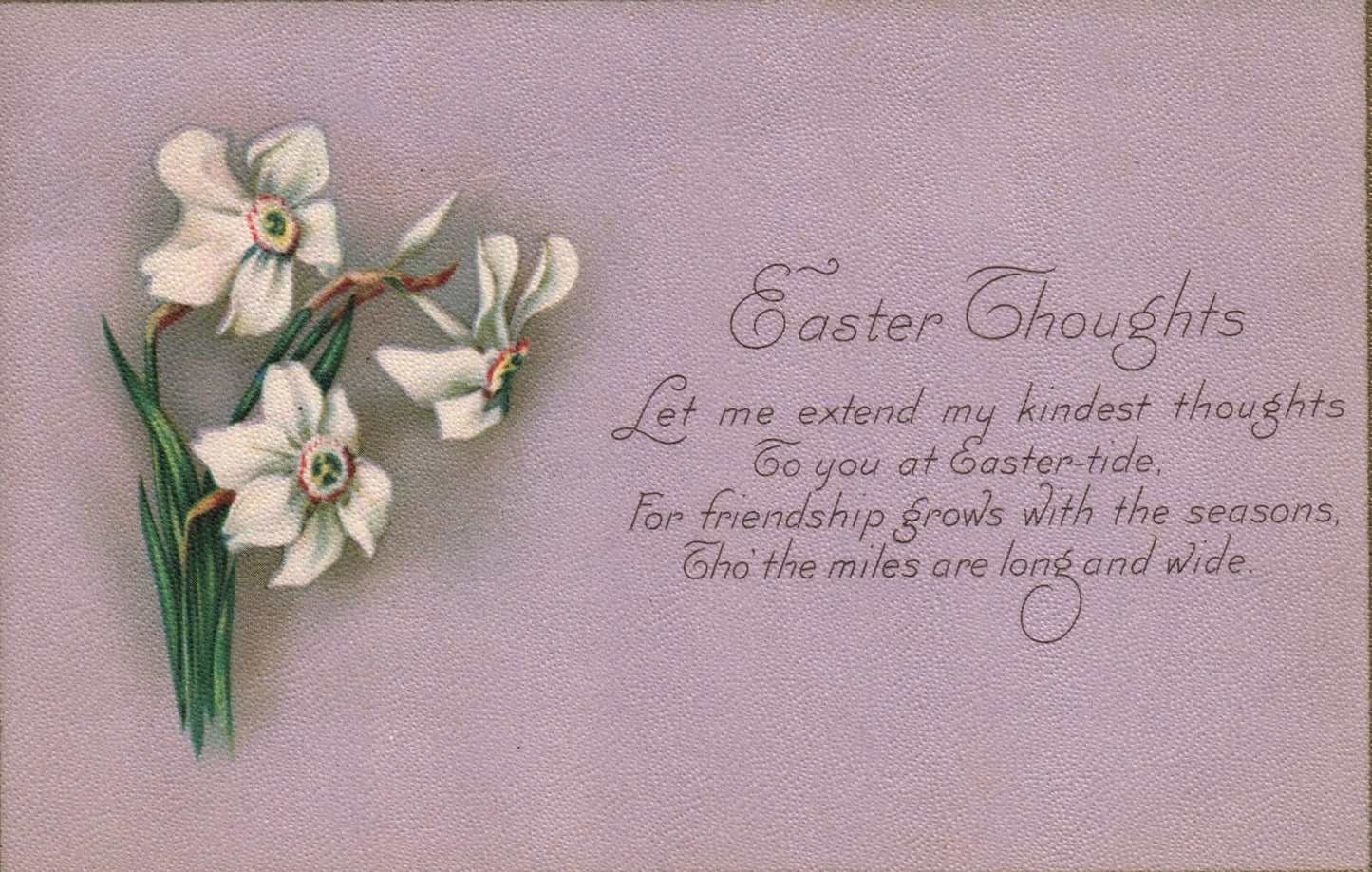Stecher Lily Purple Background Easter Thoughts Easter Postcard