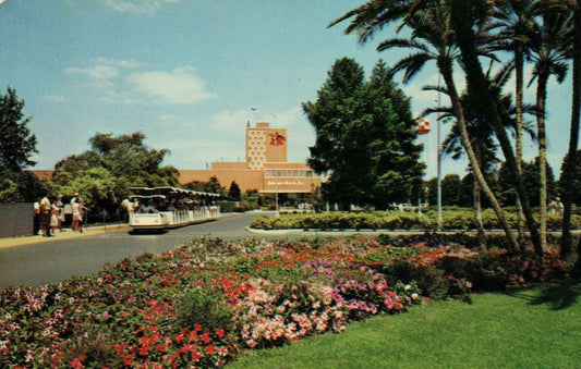 Entrance To Busch Gardens In Tampa Florida Busch Gardens Postcard