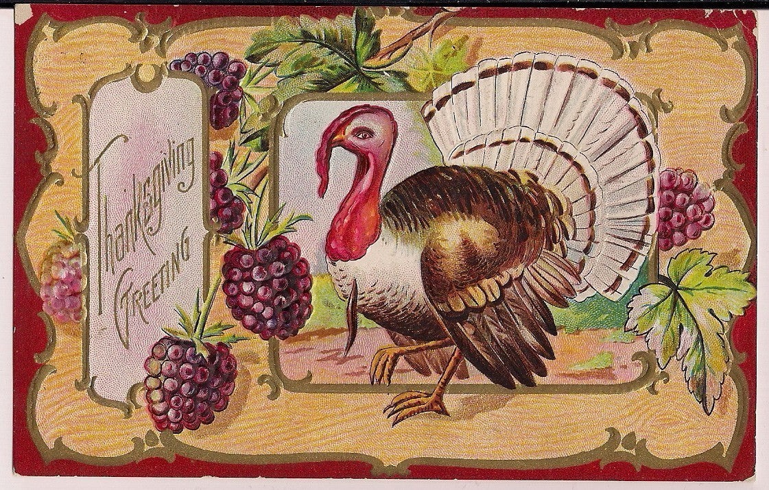 Embossed Gold Gilt Tom Turkey Grapes Thanksgiving Greeting Postcard