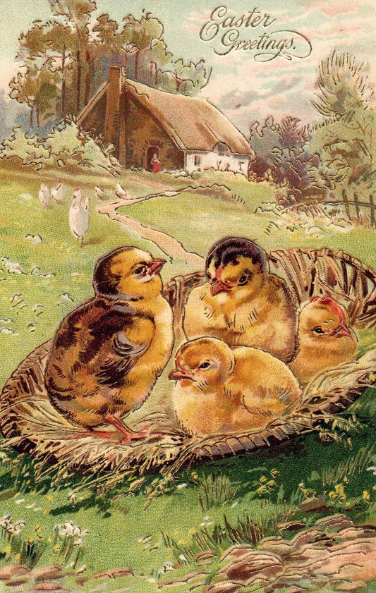 Easter Greetings Little Chicks in Basket Gold Gilt Vintage Easter Postcard