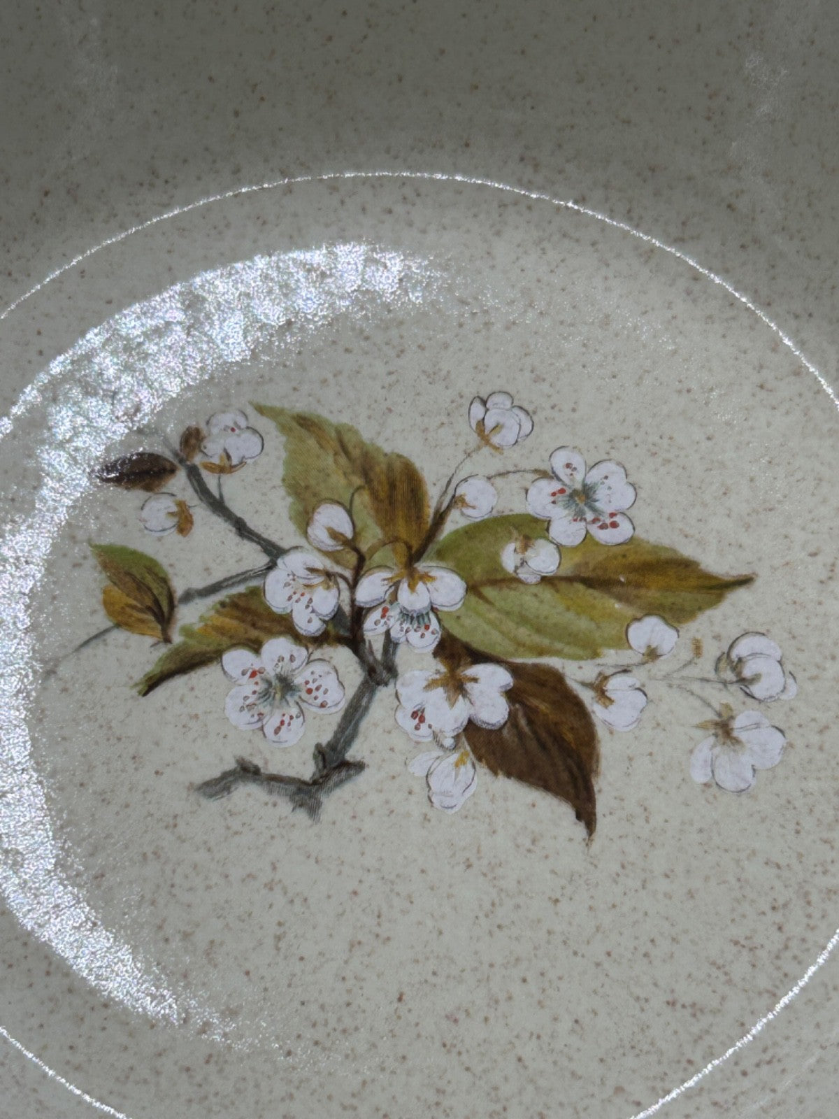 Royal Doulton WILD CHERRY 8 Salad Bowls Made in England Lambethware 1979