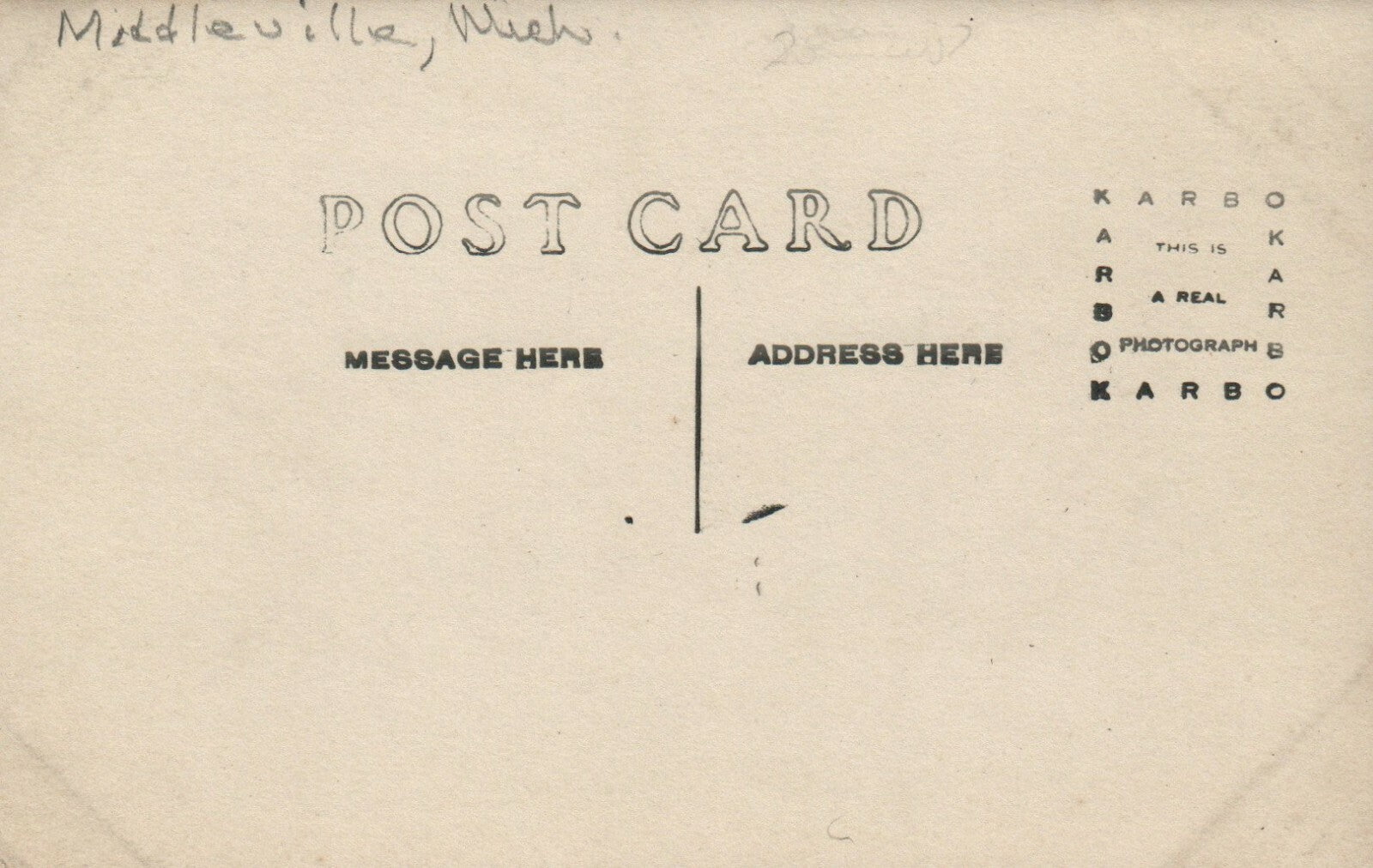 Real Photo Horse and Buggy Down Middleville Old Main Street Michigan MI Postcard