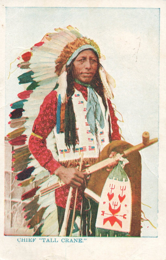 Chief "Tall Crane" In Headdress Native American Indian Postcard
