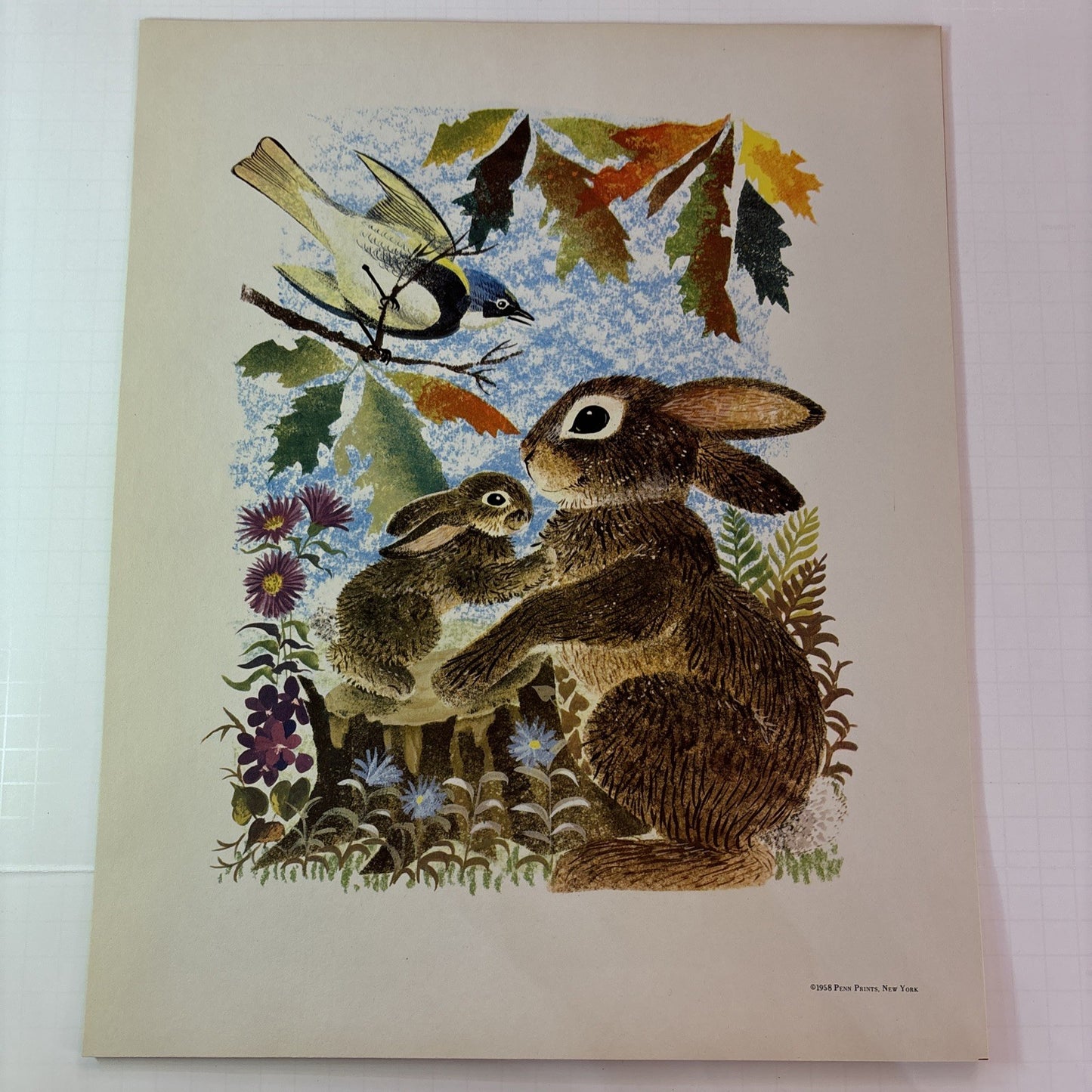 Six (6) Farm Animals Decorative Prints Penn 1958 Leonard Weisgard Yellow Folio