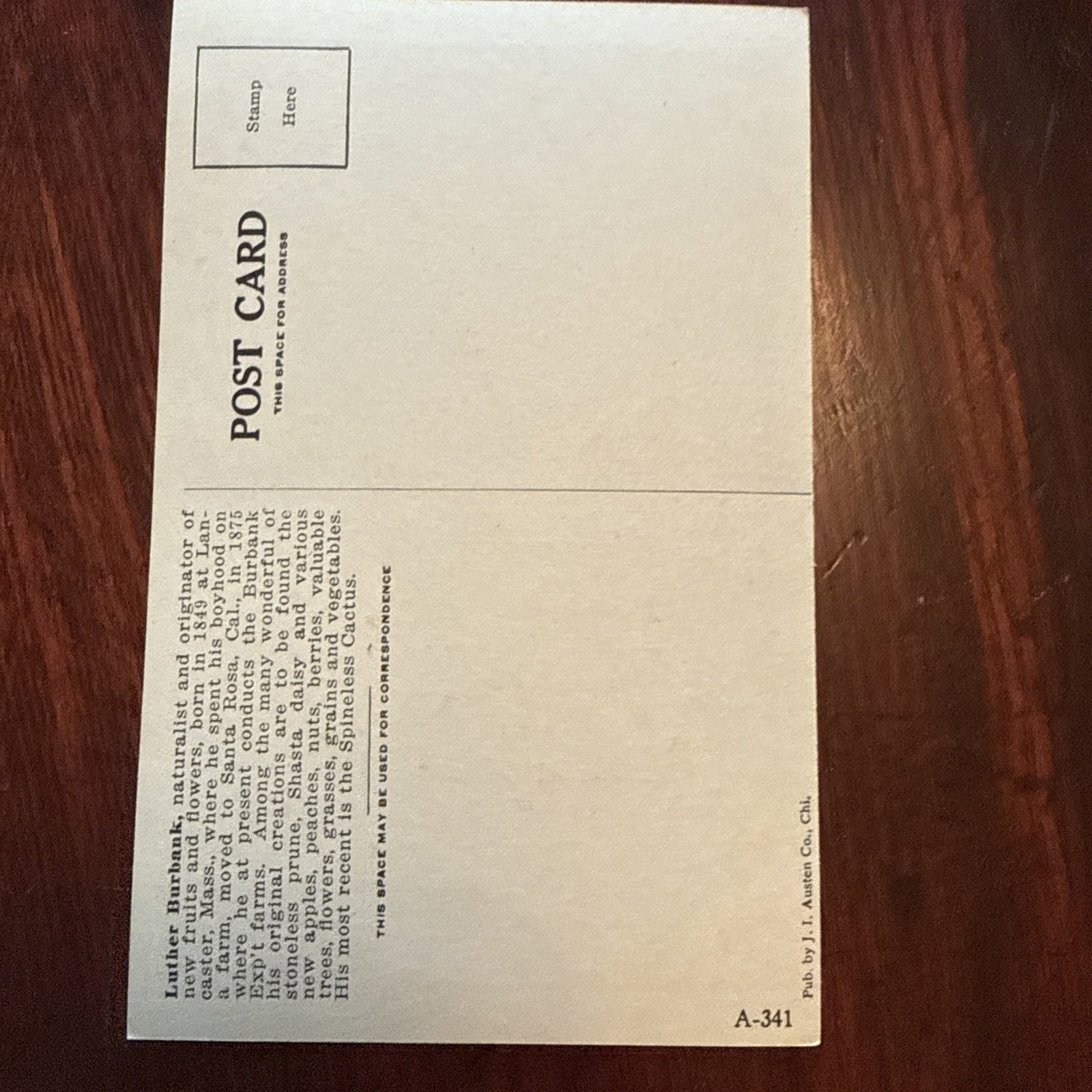 Luther Burbank by J I Austen Postcard Angels Trumpets c1910's *Scarce