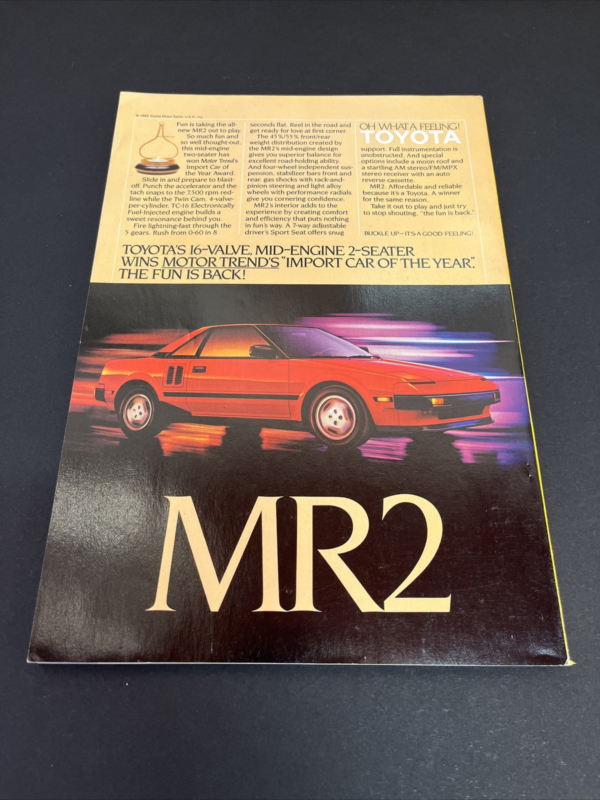 July 1985 National Geographic 16th Century Basque Whaling in America