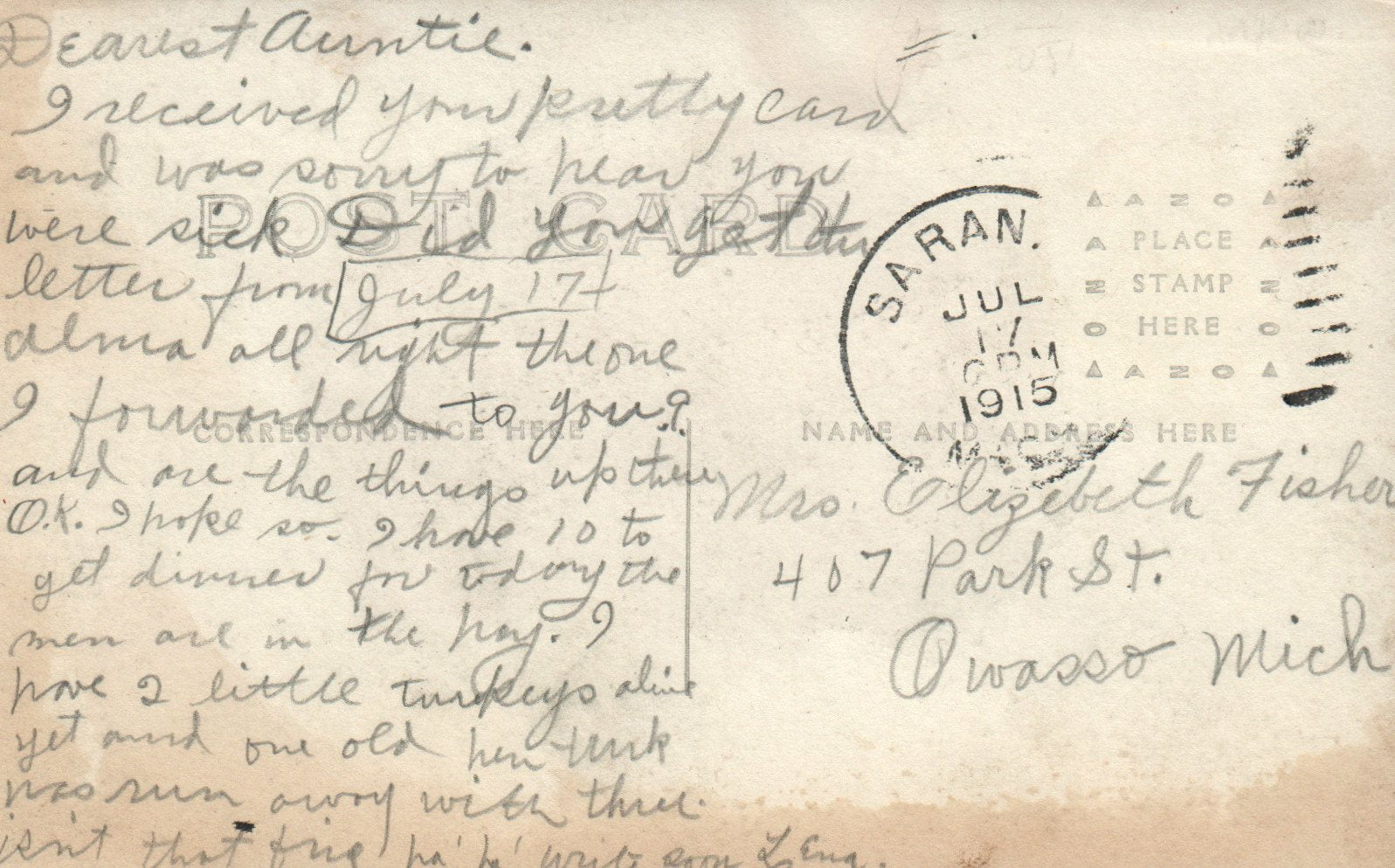 Electric Light Dam Real Photo Saranac Mich MI Michigan Vintage Postcard 