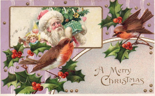 A Merry Christmas Santa With Robins & Holly Vintage Santa Postcard