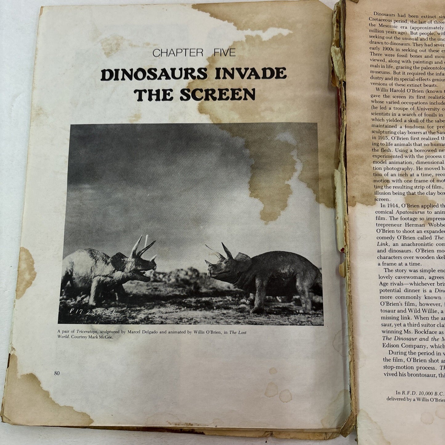 THE DINOSAUR SCRAPBOOK Book B&W Illustrated Donald Glut