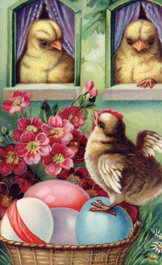 Joyful Easter Chicks Looking at Colored Eggs Gloss Vintage Easter Postcard