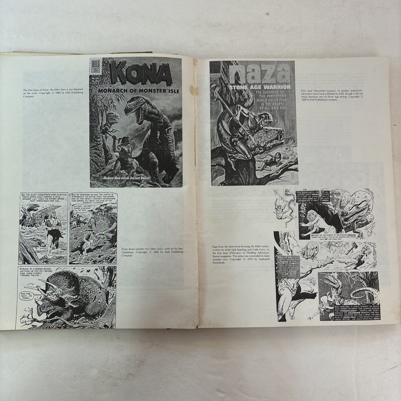 THE DINOSAUR SCRAPBOOK Book B&W Illustrated Donald Glut