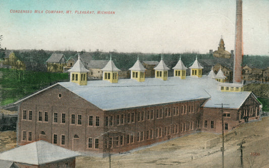 Printed Photo Condensed Milk Co Mt Pleasant Michigan MI Postcard