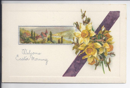 MINT John Winsch Series 481 Daffodil Flower  Postcard