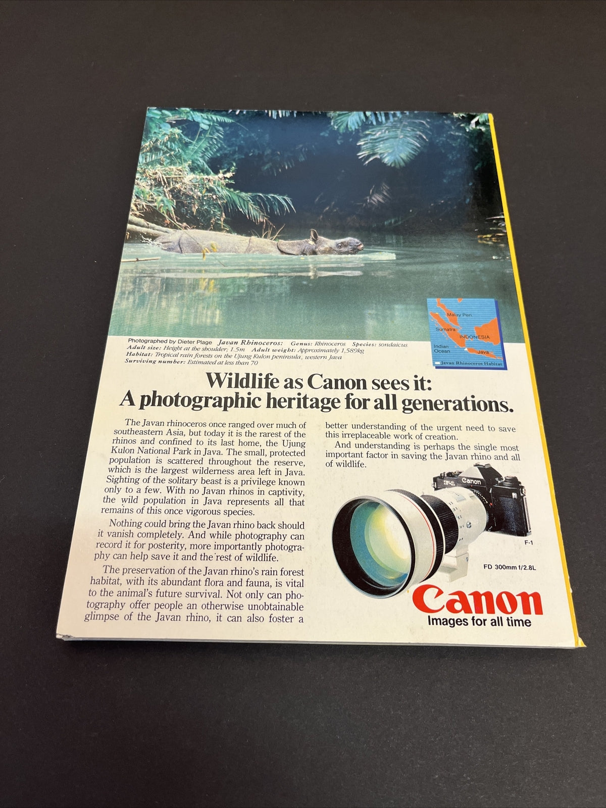 August 1985 National Geographic Our Restless Planet Earth