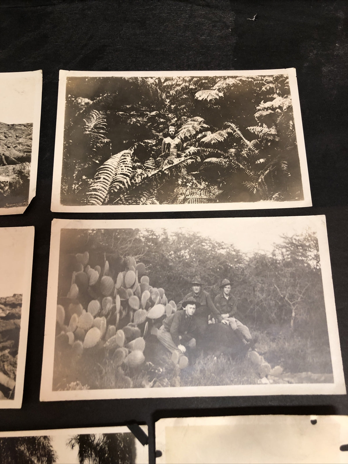 Lot of 17 Real Photos Military Soldiers Militaria Scenic Tropical