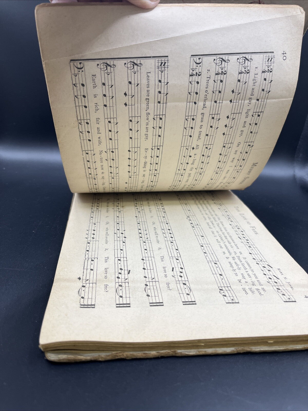 The Song Champion, vintage antique book, C.E. Leslie, R.H. Randall, 1877 1800's