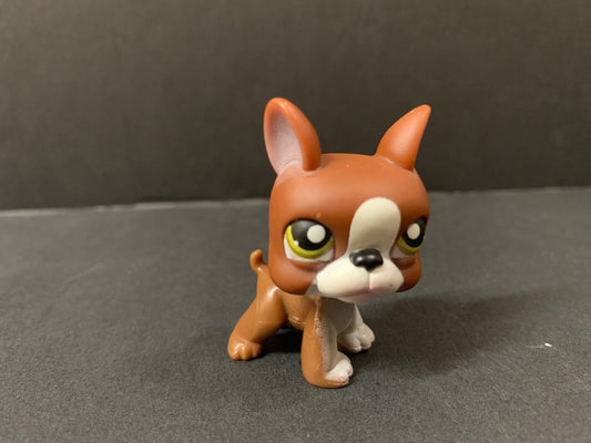 Littlest Pet Shop #118 Brown Boston Terrier Dog Authentic LPS Animal Figure