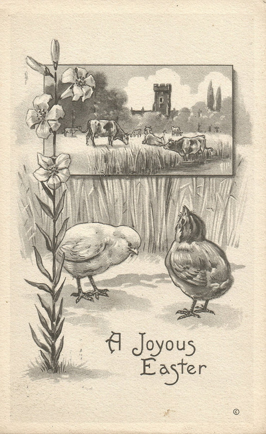 Julius Bien Cows Easter Chick Postcard Series