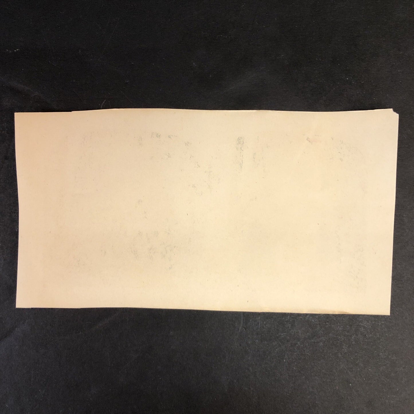 RARE Stereoview Paper Cards California Redwood Horse Carriage