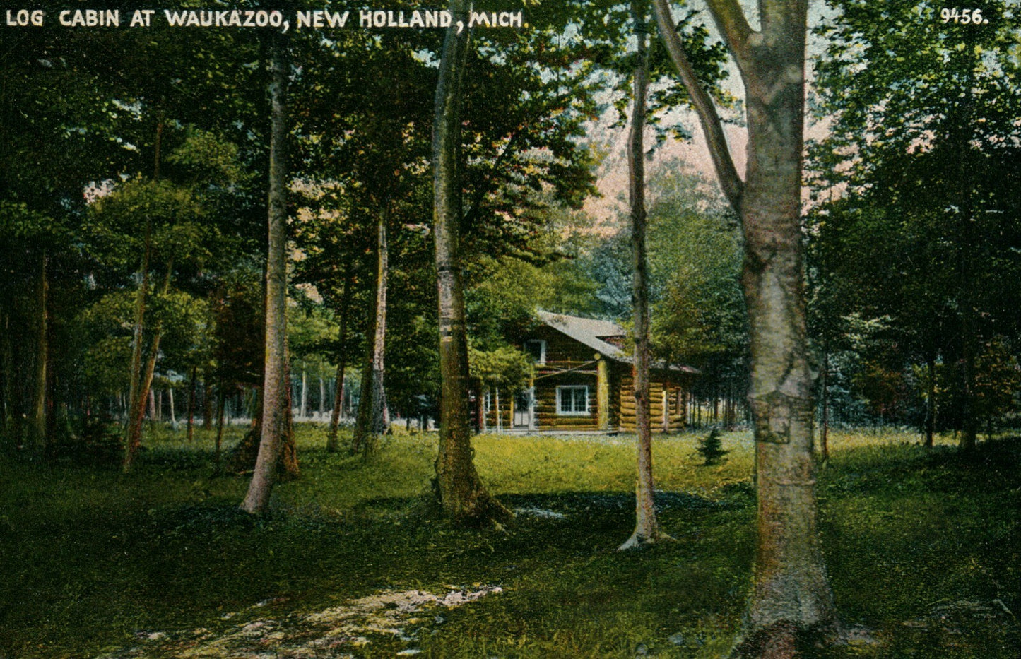 Printed Photo Log Cabin at Waukazoo New Holland MI Michigan Mich Postcard 