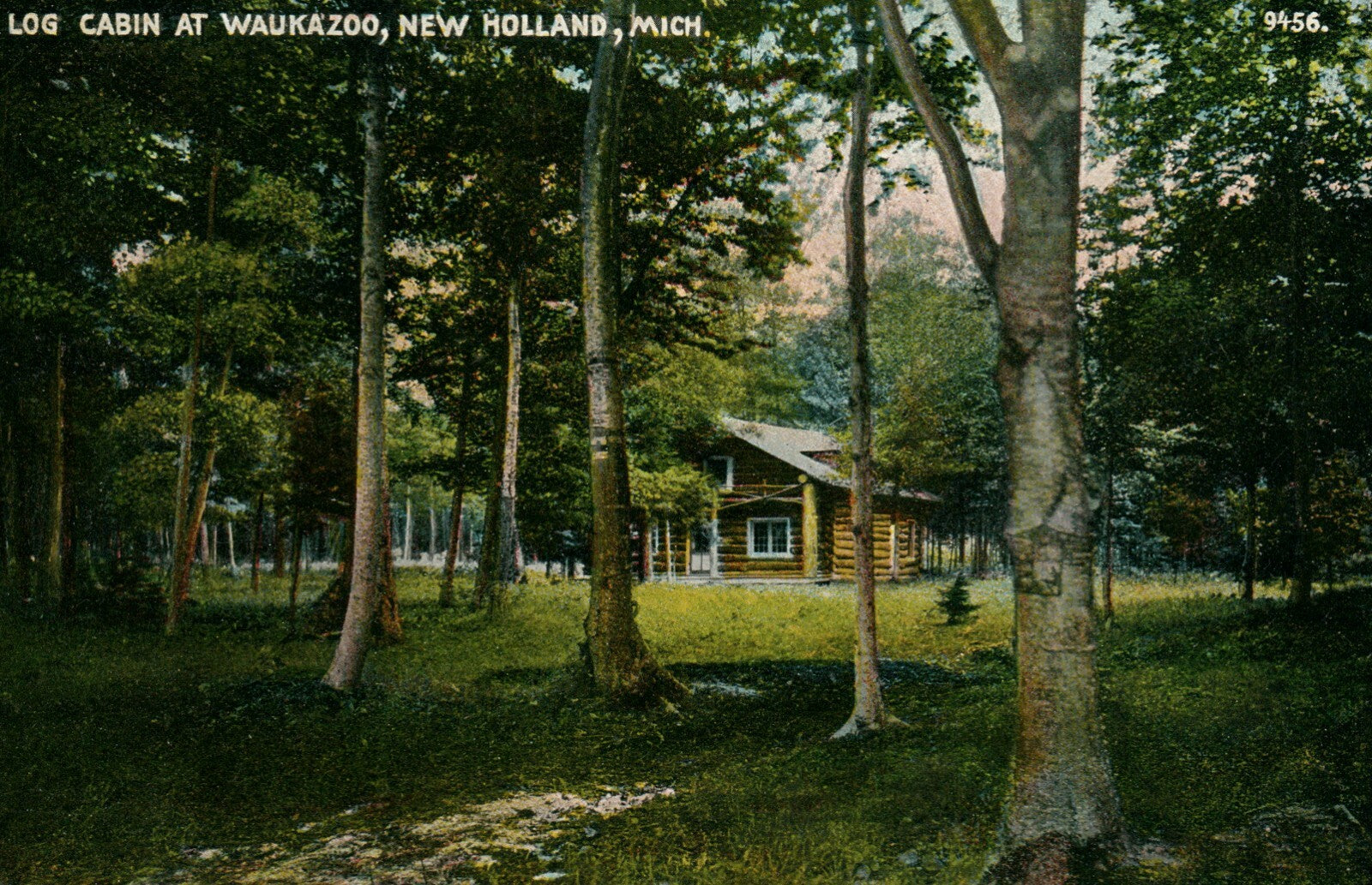 Printed Photo Log Cabin at Waukazoo New Holland MI Michigan Mich Postcard 