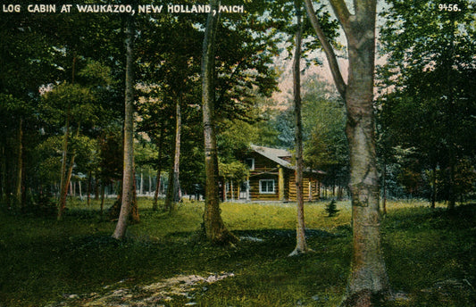 Printed Photo Log Cabin at Waukazoo New Holland MI Michigan Mich Postcard 