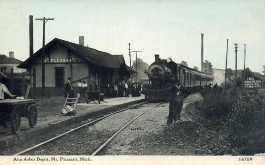 Ann Arbor Depot Mt. Pleasant MI Michigan Mich Postcard