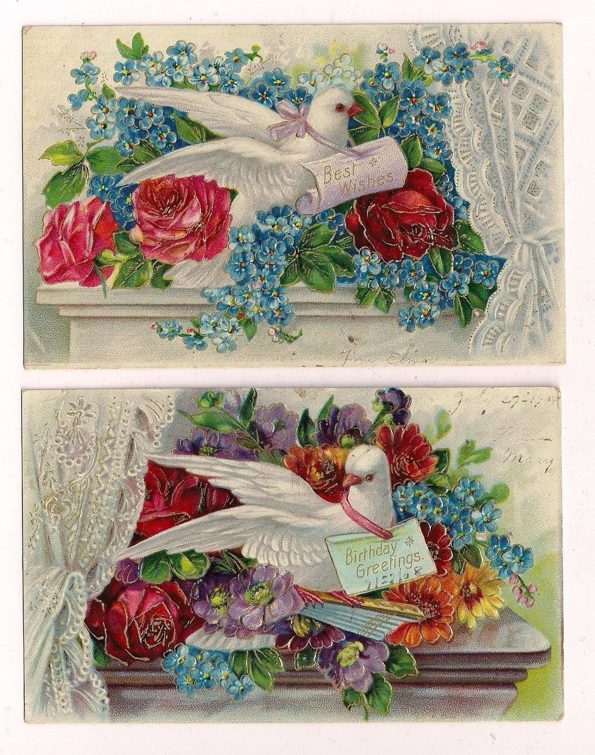 Set of 2 White Dove Bird Birds Floral Series Animal Postcard