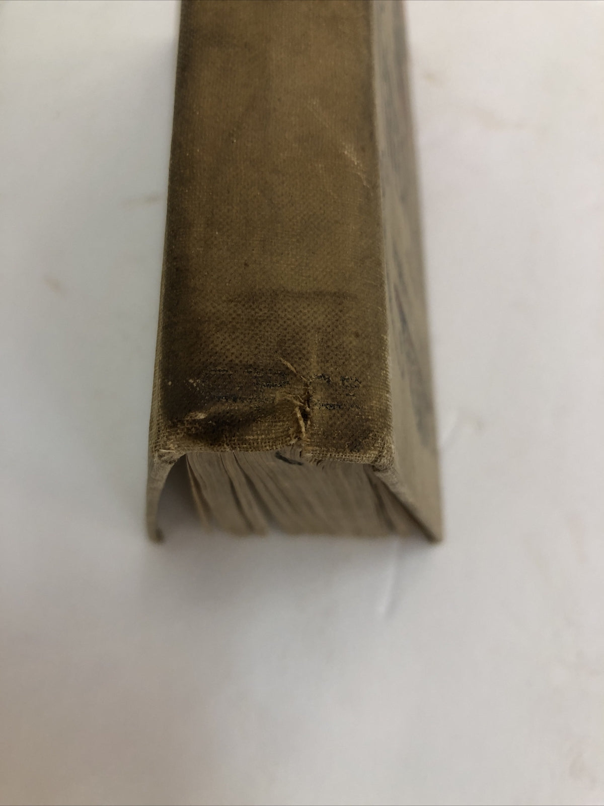 Adrift in New York - Horatio Alger Jr  Tom & Florence Braving the World HC 1907?