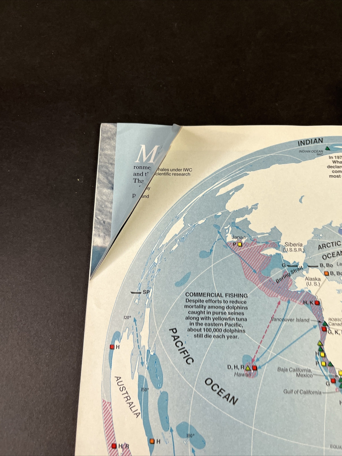 December 1988 National Geographic Can Man Save This Fragile Earth?