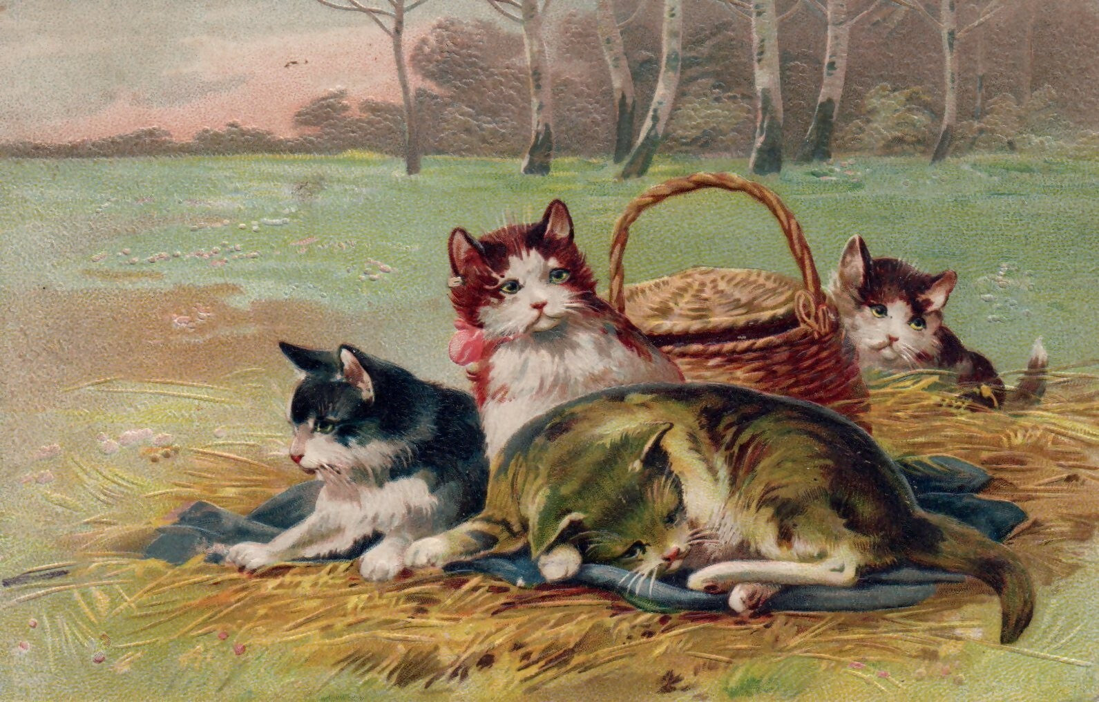 Four Cats Lounging on A Bed of Hay in a Field Cats Animal Postcard