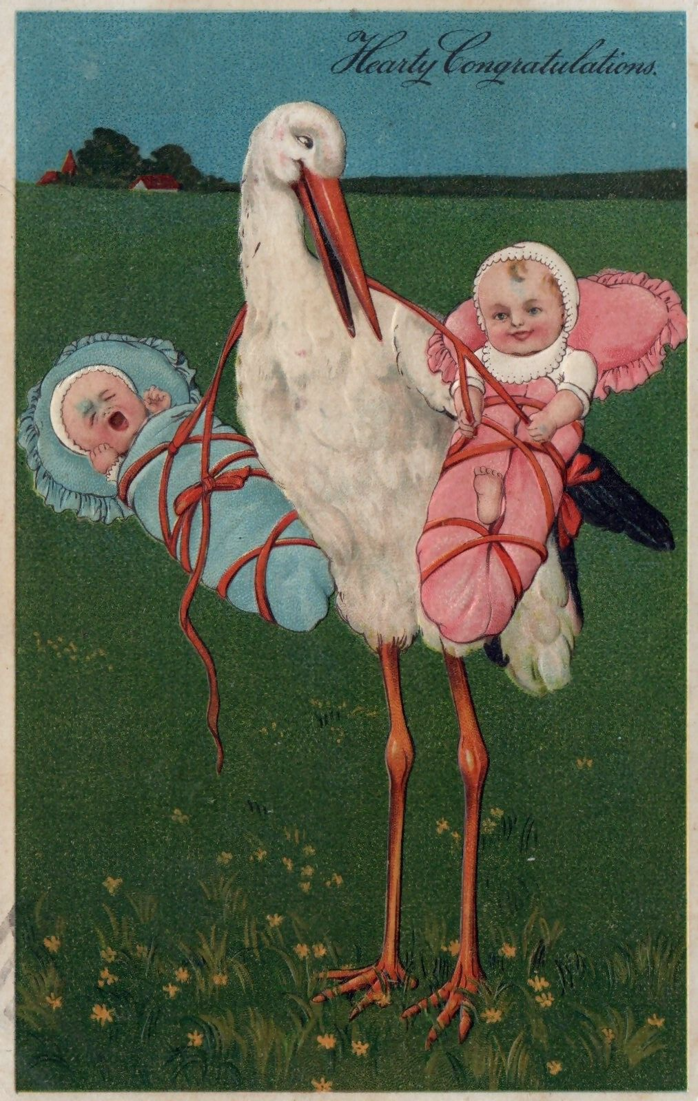 Hearty Congratulations New Born Twins Boy & Girl with Stork Children Postcard