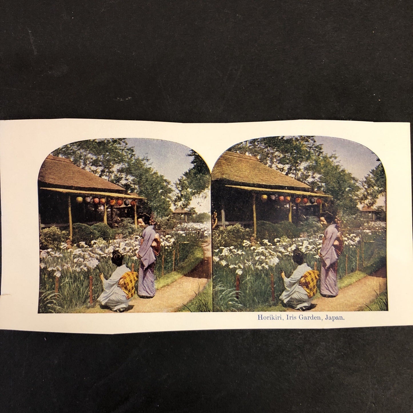 RARE Stereoview Paper Cards Japan Iris Garden Shinto Priests Tokio Lot of 2