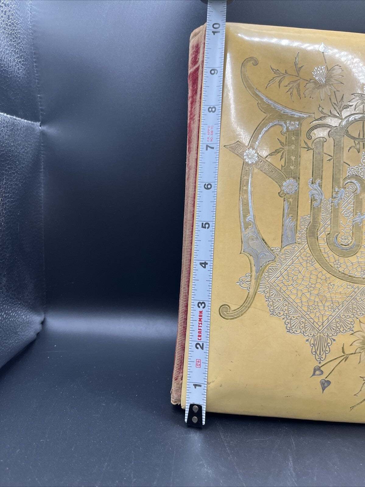 Antique Victorian Celluloid Photo Album