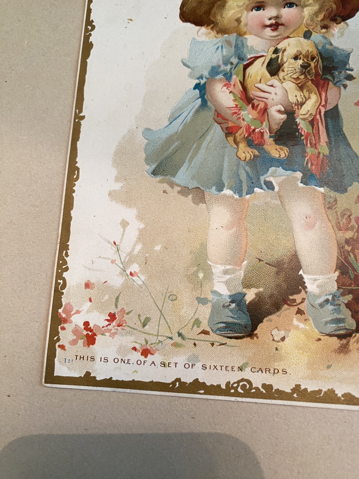 Mclaughlin's coffee Trade Trading Advertising Card girl Dog 7 x 5.5"