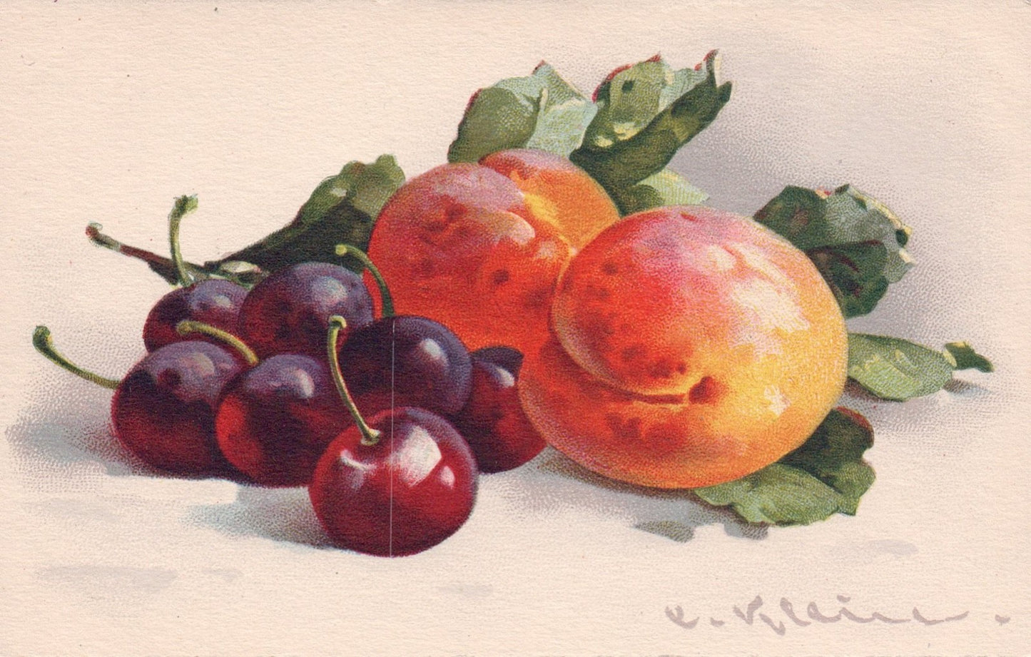 Artist Signed Catherine Klein Peaches and Cherries