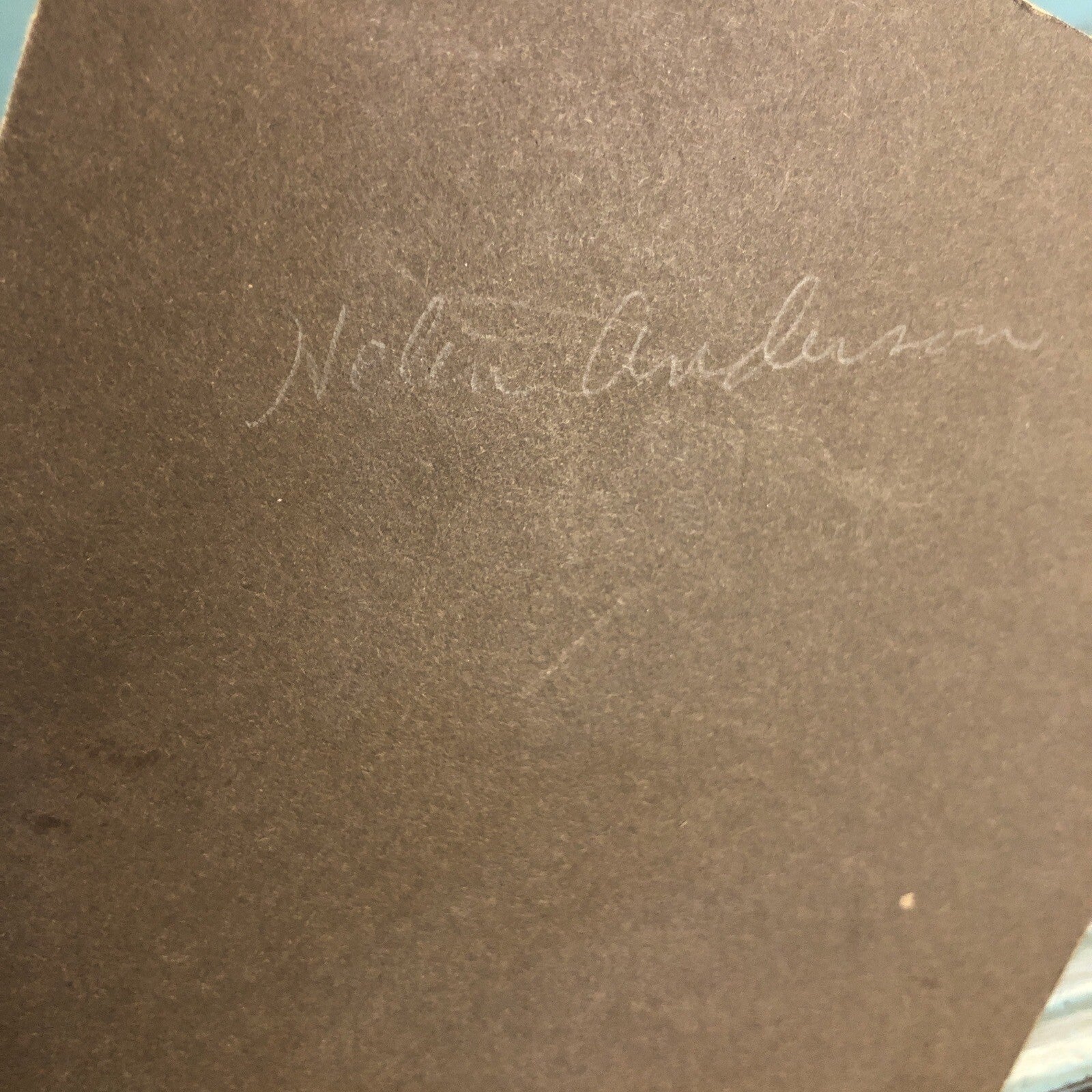 Real Photo CDV Young Girl fancy Dress Flowers Big Bow in Hair "Helen Anderson"