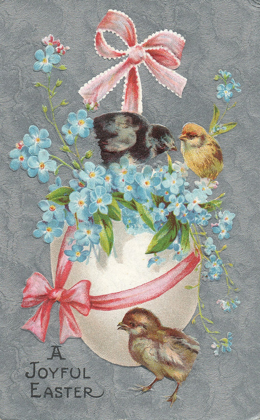 Forget me nots Egg Easter Chick  Greeting Postcard