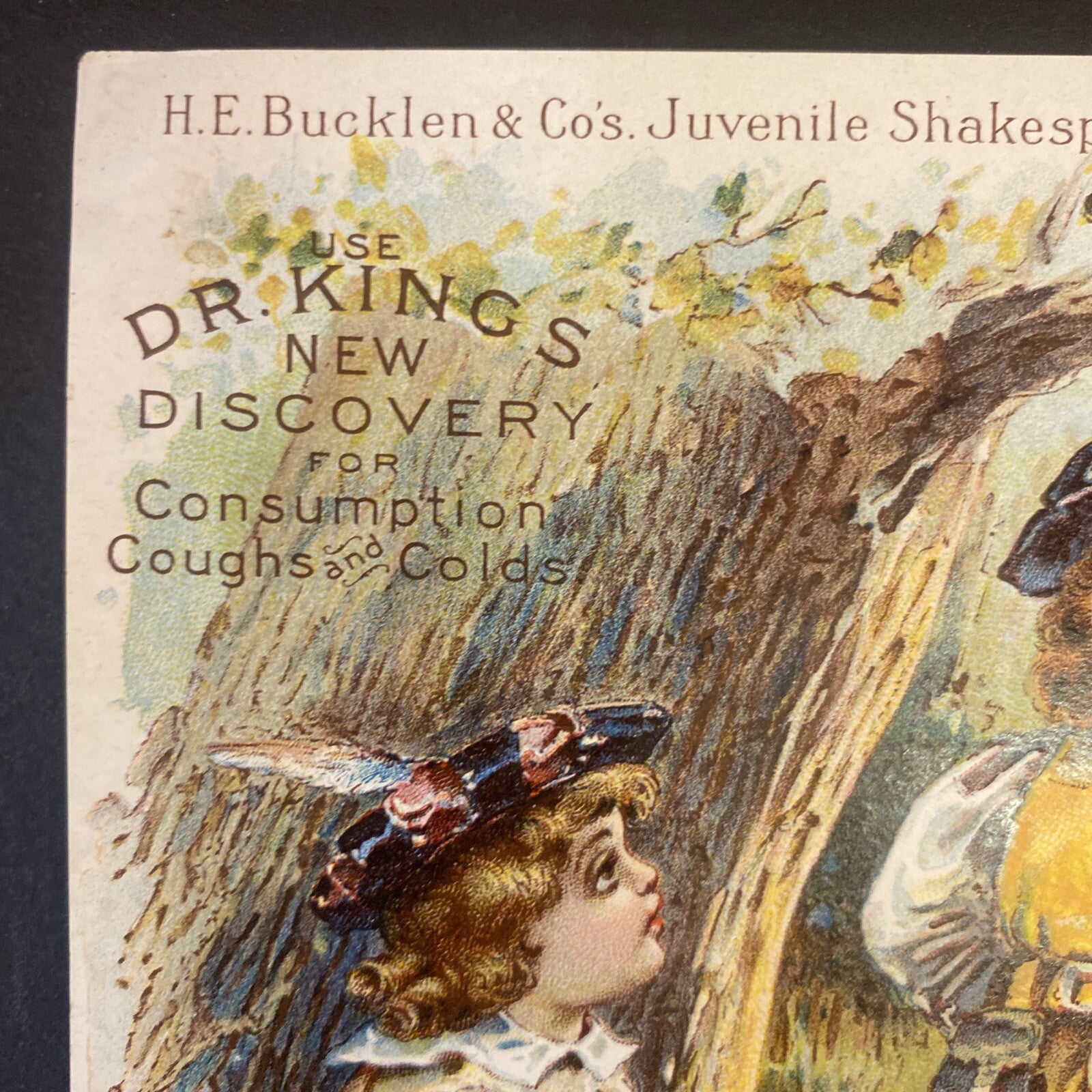 H E Bucklen 1895 Dr Kings New Discovery Shakespeare Victorian Trade Card # 4