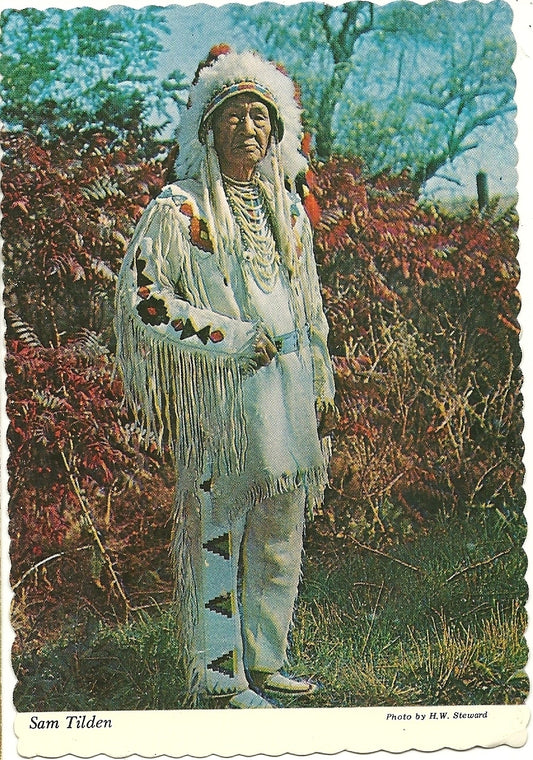 Sam Tilden Sumken "Shirt On" Nez Perce Native American Indian Postcard W-253