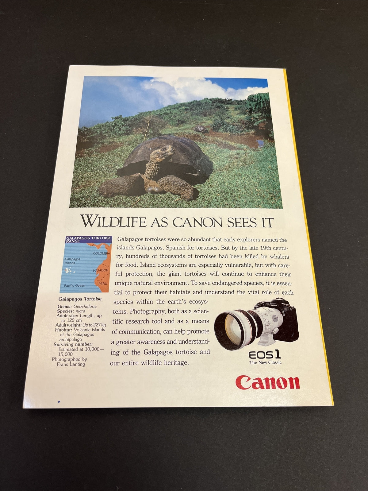 February 1991 National Geographic Magazine "Hong Kong: Countdown to 1997"