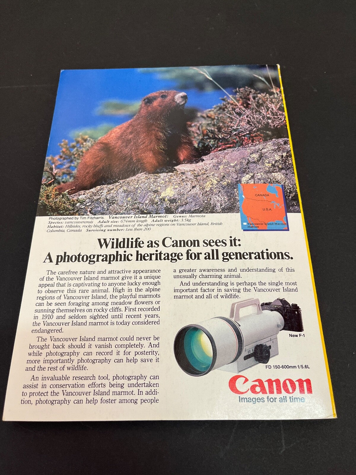 August 1984 National Geographic Mexico City Colorado Whales Japan Alps Puffers