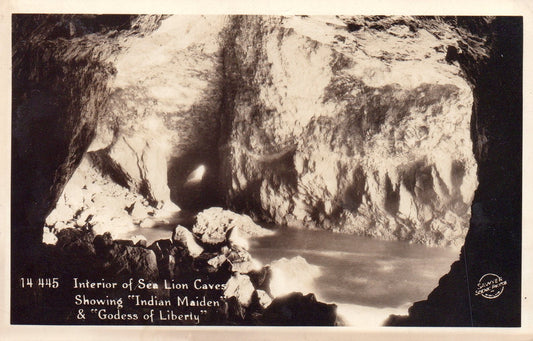 Interior of Sea Lion Caves in Florence Oregon Real Photo Postcard