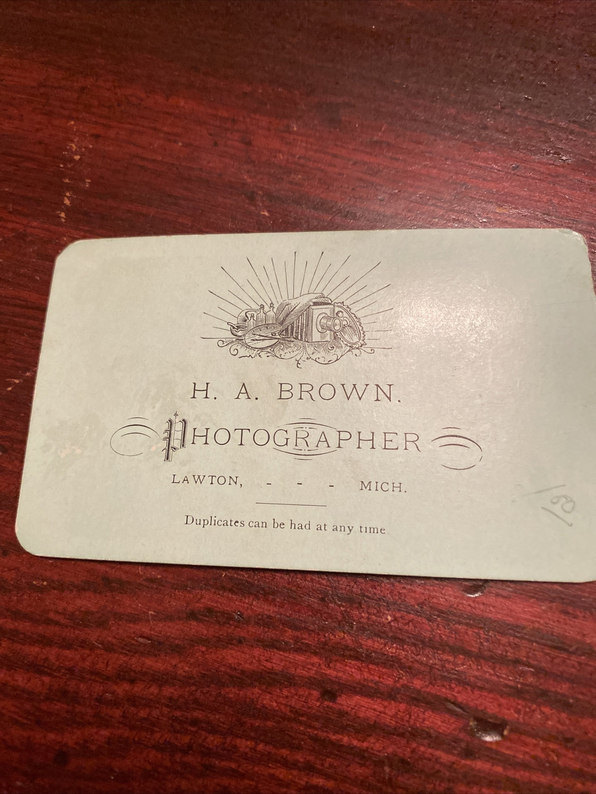 Real Photo CDV Woman Curly Hair Period Clothing H A Brown Lawton MI Michigan