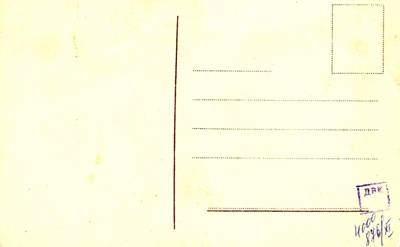 Cartoon Pig with Green Bowtie Vintage Pig Postcard